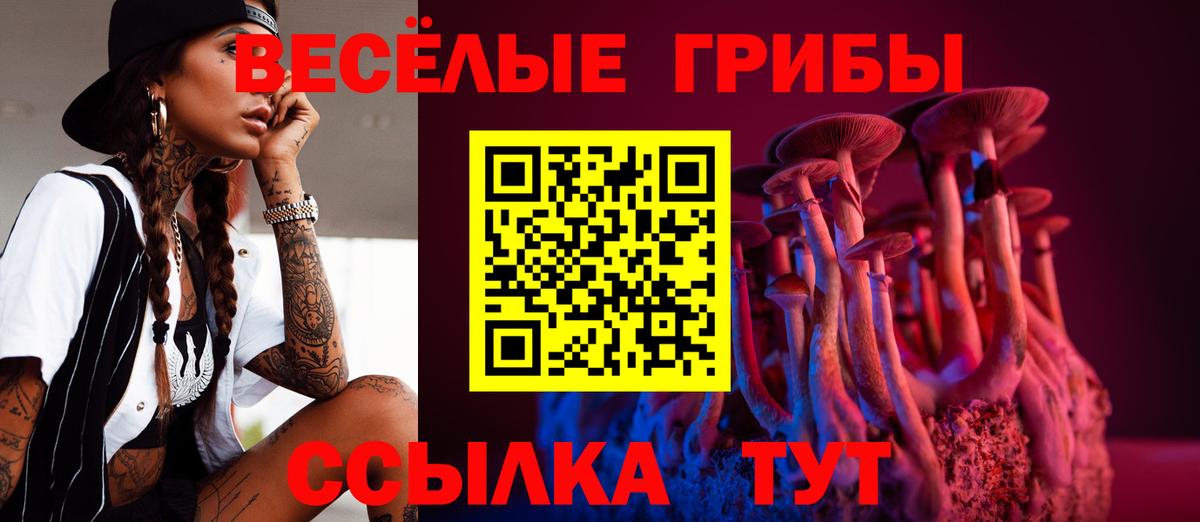 Усолье-Сибирское  Галлюциногенные грибы Psilocybine cubensis  Вход с VPN  что такое   Псилоцибиновые грибы мухоморы 